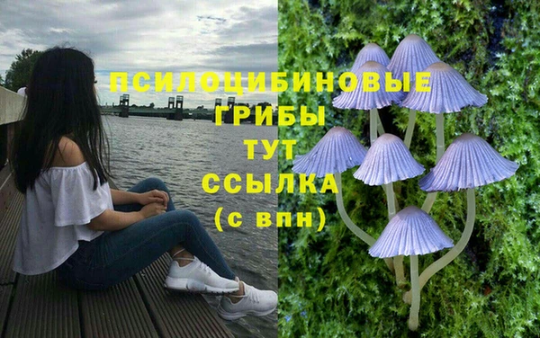 СК Алексеевка