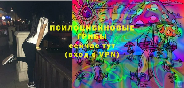 СК Алексеевка