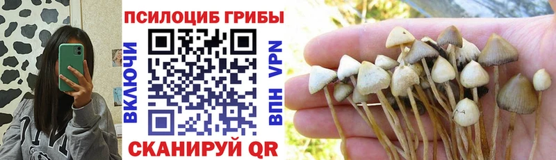блэк спрут ссылки  Краснозаводск  Галлюциногенные грибы Cubensis 